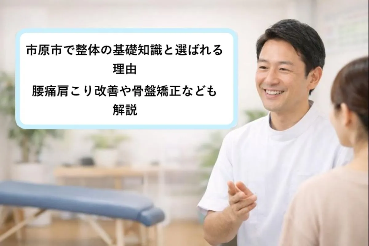 市原市で整体の基礎知識と選ばれる理由｜腰痛肩こり改善や骨盤矯正なども解説